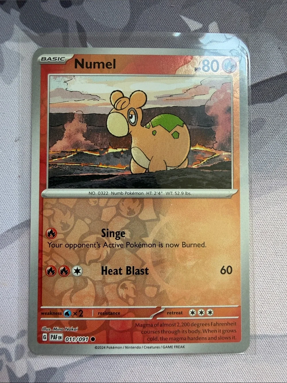 Numel & Camerupt Pokémon Evolution Reverse Holo Card Lot 🌋 | 3 Cards ✨5/$25✨